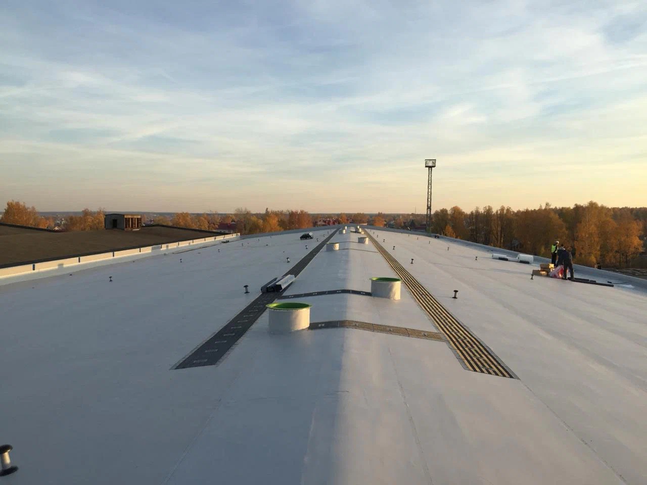 Roof Detail